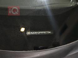 جيب رينيجيد